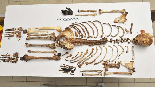 what did our ancestors look like.JPG